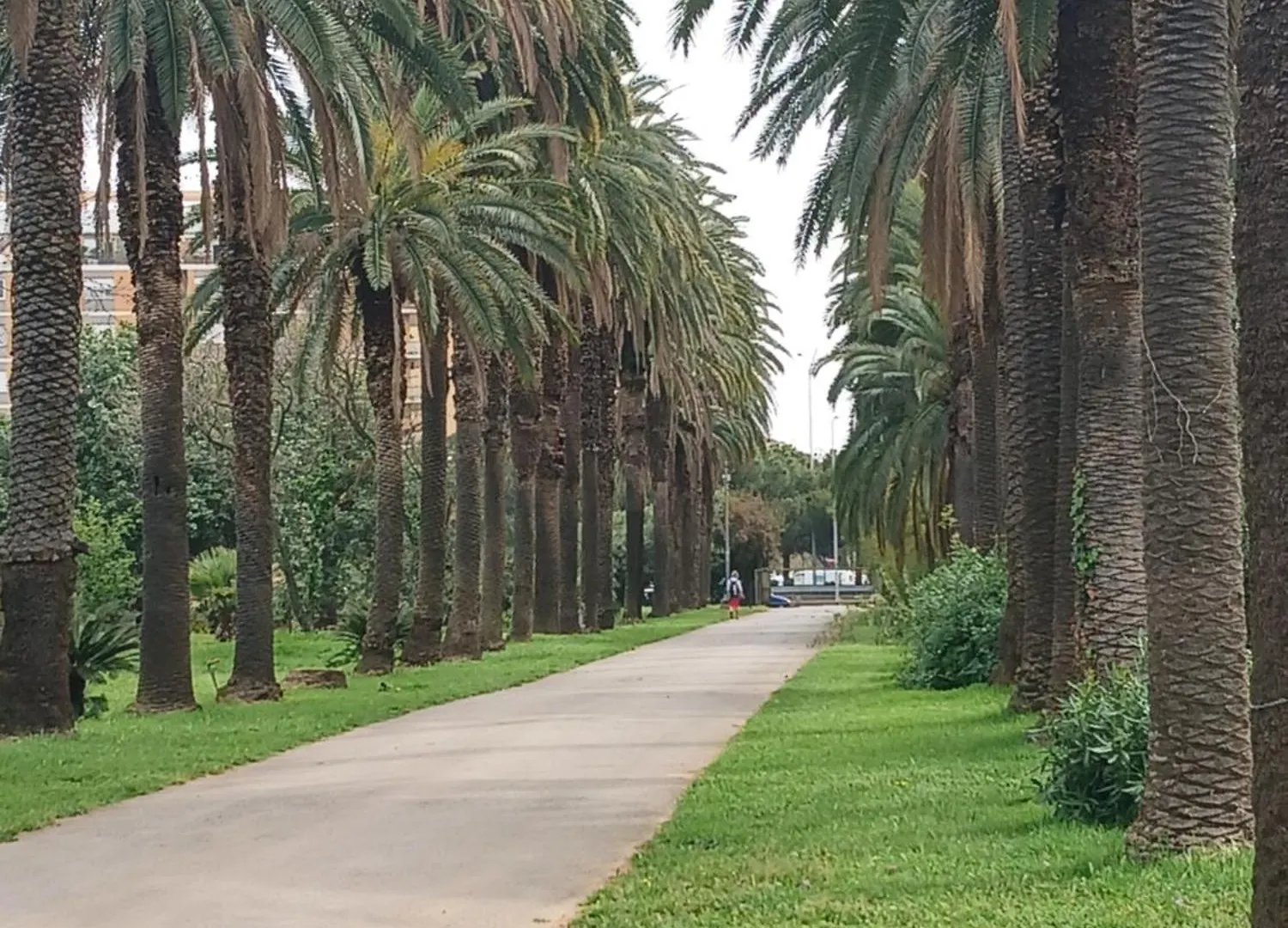 Maison Du Parc Palermo